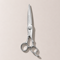 Professional Barber Scissors — VG10 Steel, 6 Inch